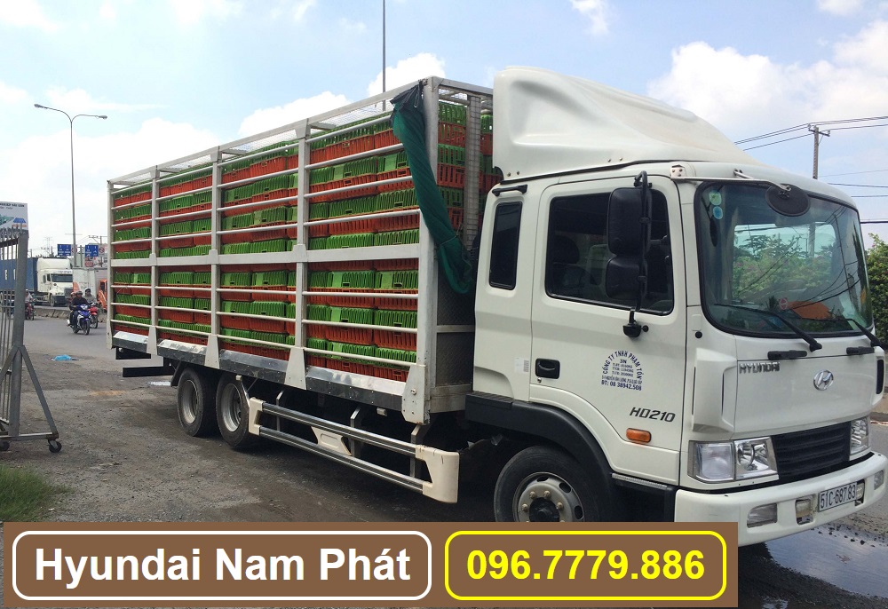 xe tai hd210 cho gia cam ga vit